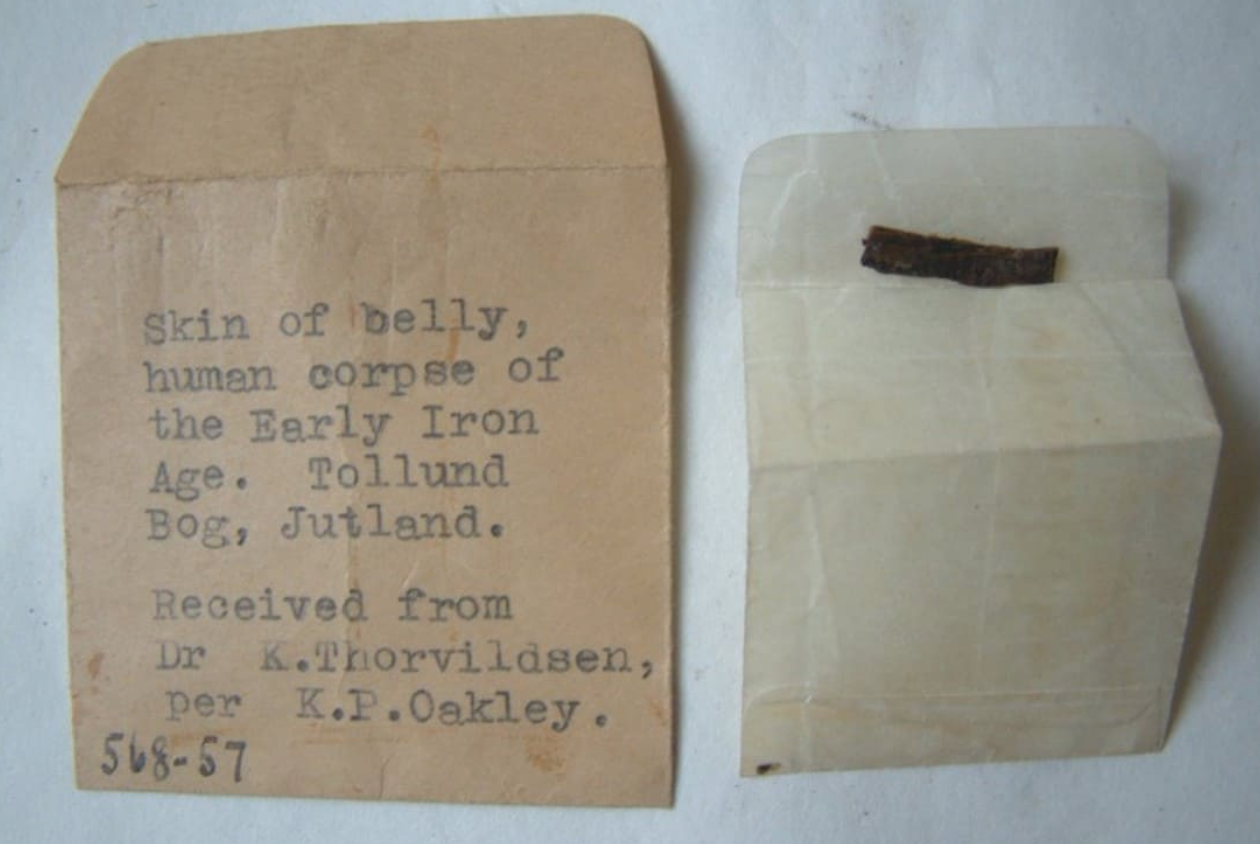 Самые странные и немного жуткие экспонаты из разных музеев мира