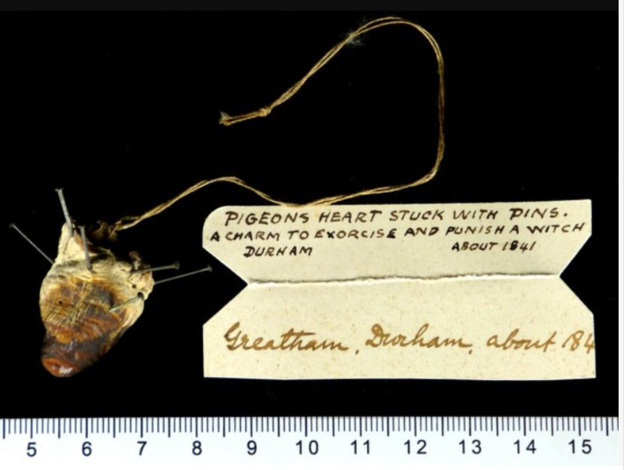 Самые странные и немного жуткие экспонаты из разных музеев мира