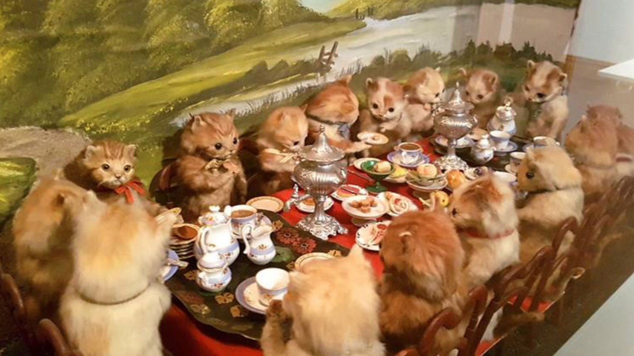 Самые странные и немного жуткие экспонаты из разных музеев мира