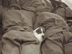 Редкие исторические фото, передающие атмосферу прошлого