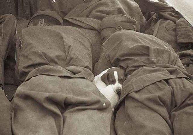 Редкие исторические фото, передающие атмосферу прошлого