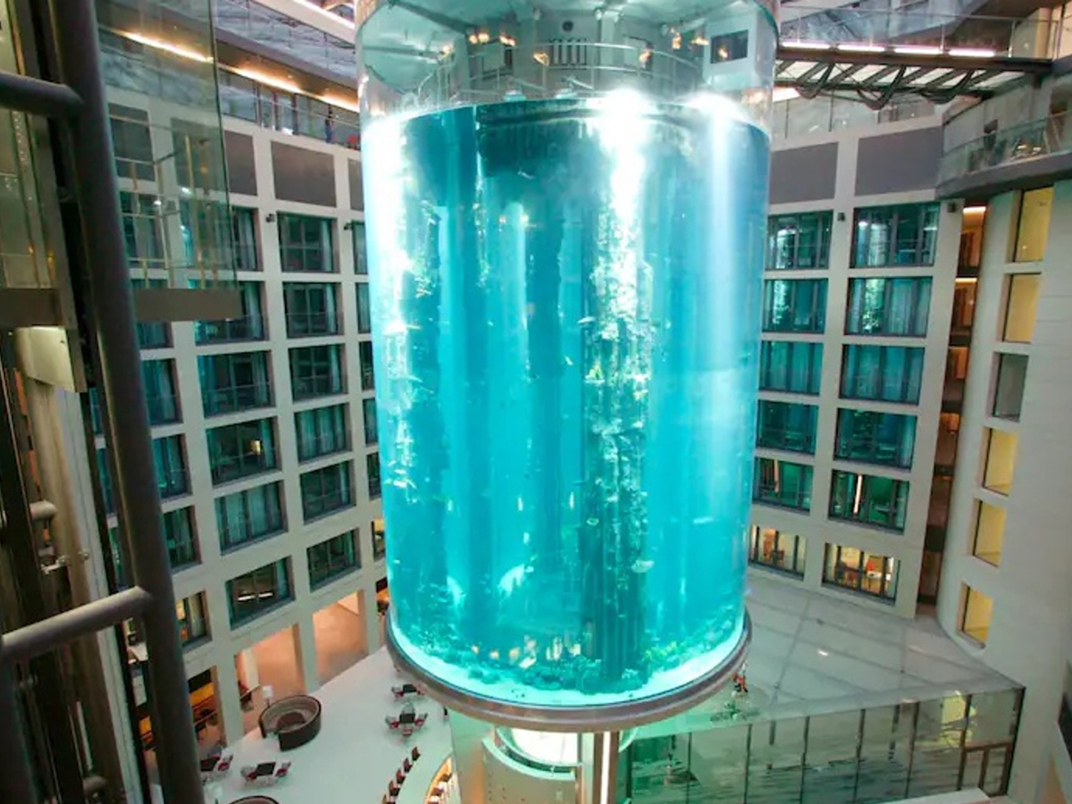 В Берлине лопнул самый большой в мире аквариум