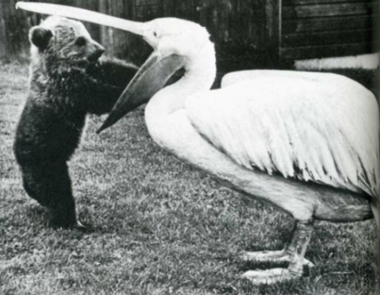 Редкие исторические фото, передающие атмосферу прошлого