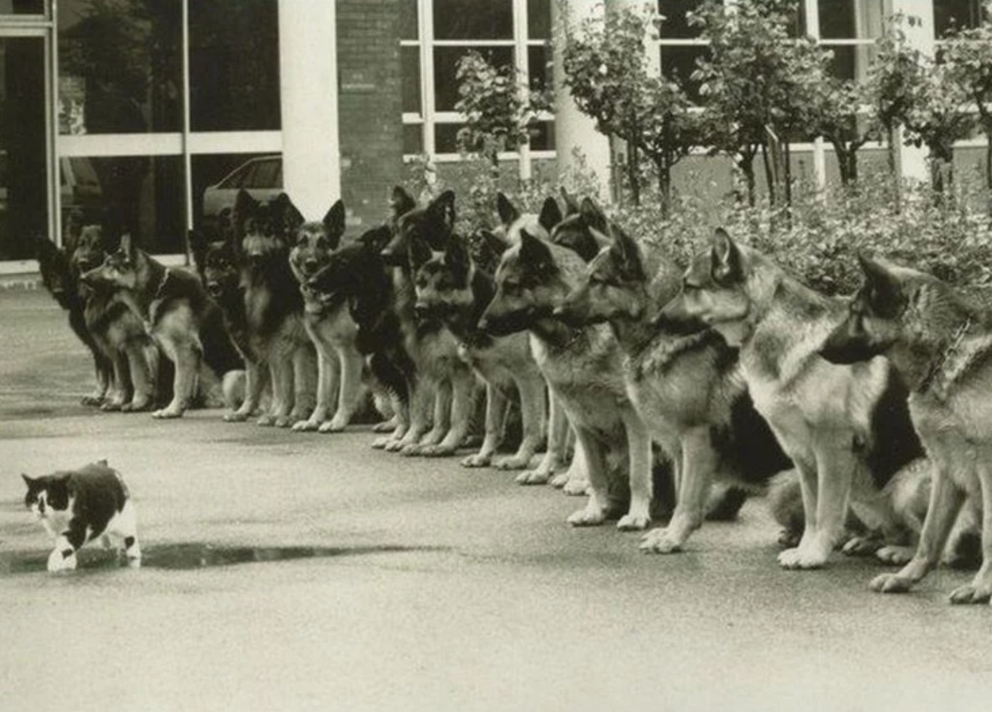 Редкие исторические фото, передающие атмосферу прошлого