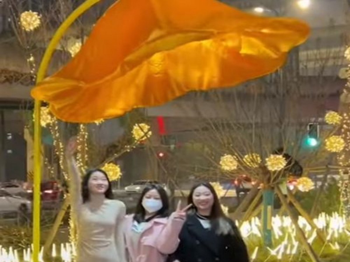 Уличные фонари в форме цветка расцветут, если встать под ними