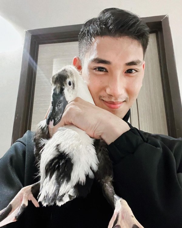 Известные мужчины и женщины, чьи лица были названы самыми красивыми в 2022 году