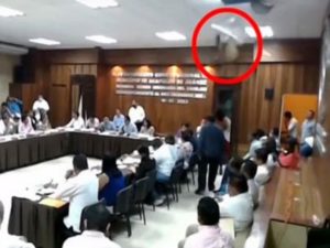 Енот провалился на головы членов городского совета через потолок