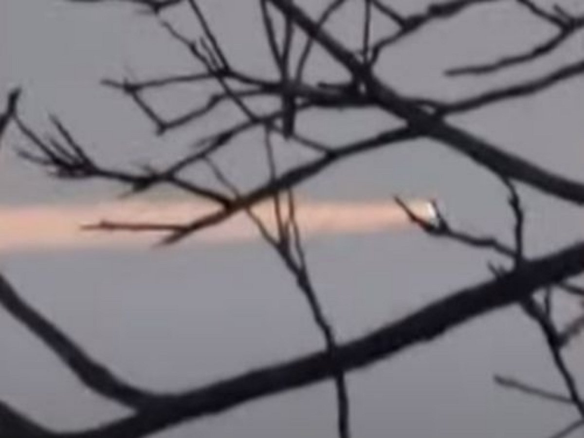 Жители Техаса спорят, самолет или НЛО пролетел над их головами