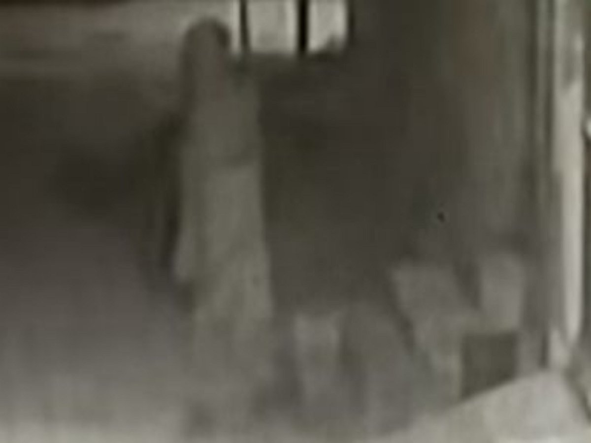 Призрак, появившийся из ниоткуда, всех напугал и неспешно ушел