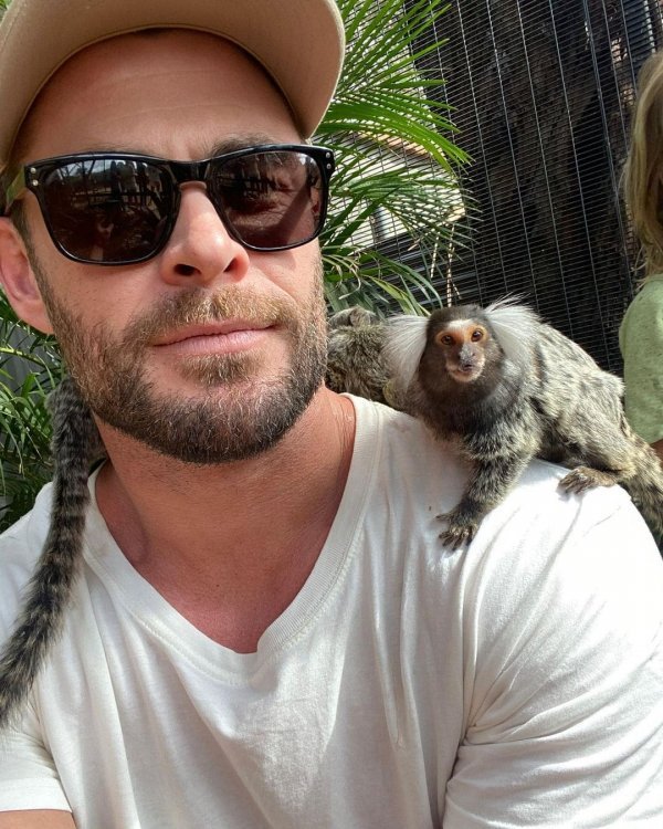 Известные мужчины и женщины, чьи лица были названы самыми красивыми в 2022 году