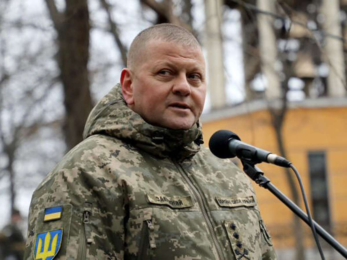 Главком украинских войск Залужный стал долларовым миллионером