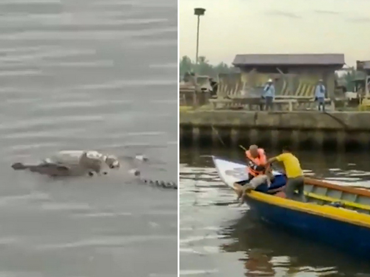 Крокодил достал со дна реки тело утонувшего мальчика и принес его родителям на спине, попав на видео (ВИДЕО)
