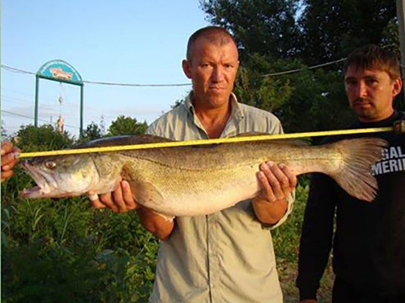 Сергей Максименко