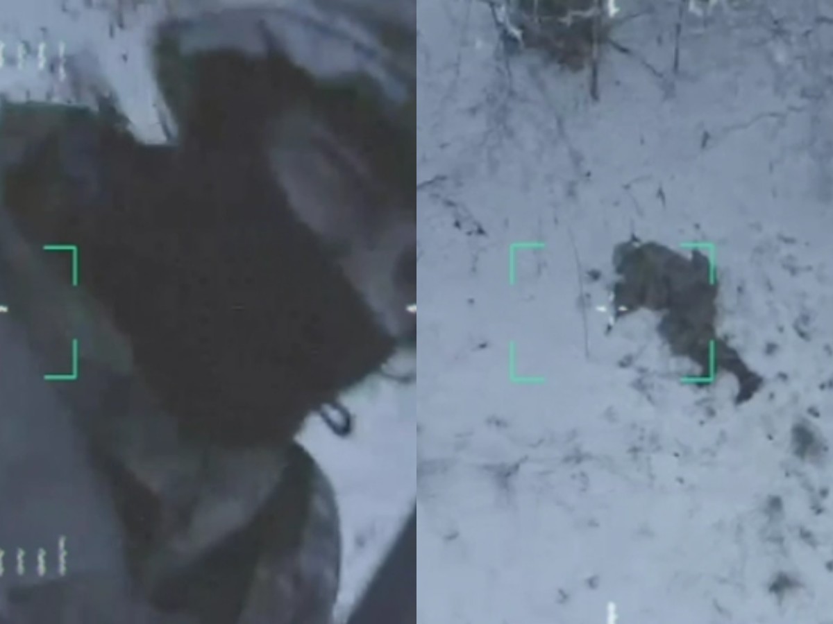 Российский военный поймал дрон ВСУ голыми руками, попав на видео