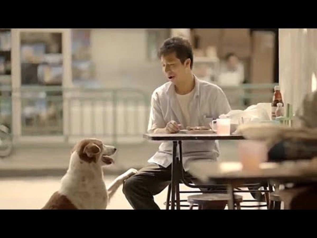 Трогательное видео о незаметном герое ломает стереотипы и делает нас чуть добрее