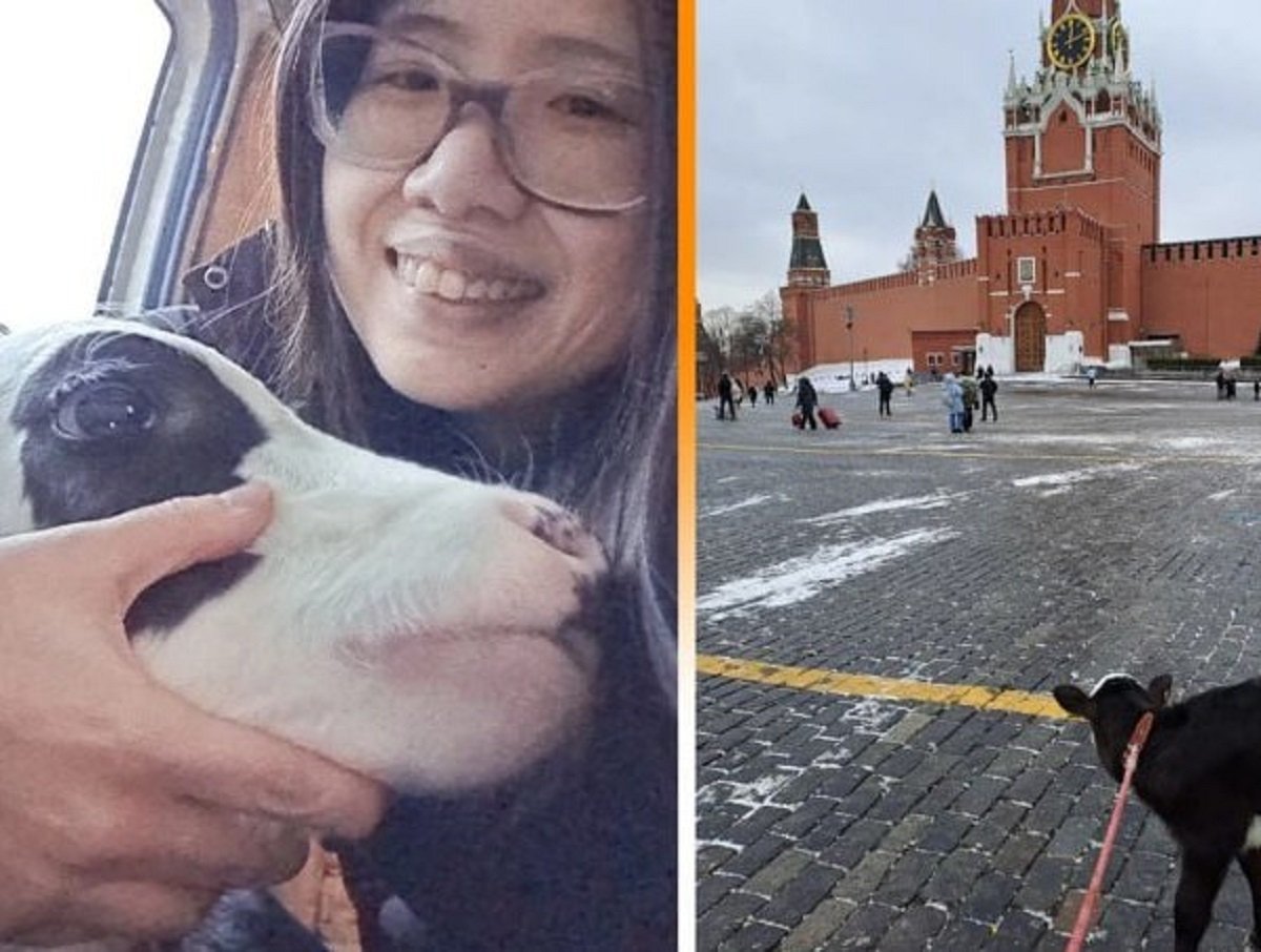 Американке за прогулку с коровой по Красной площади запретили въезд в РФ на 40 лет