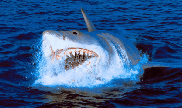 Топ-25 самых нестрашных фильмов ужаса