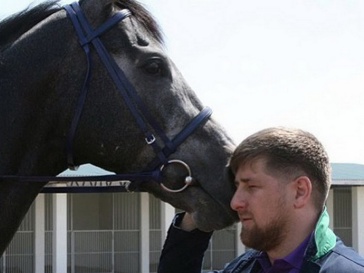 Кадыров с конем