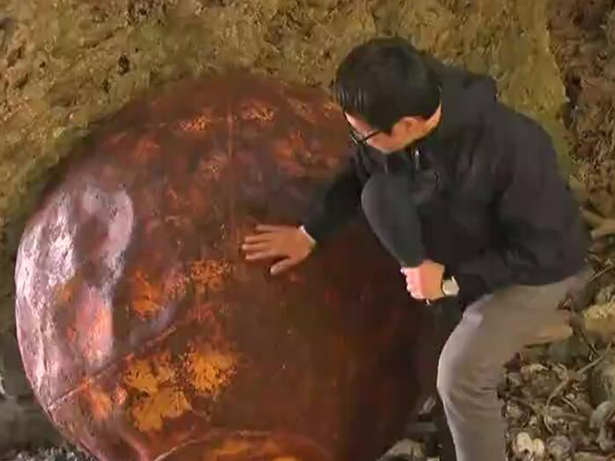 В Японии нашли еще один шар неизвестного происхождения