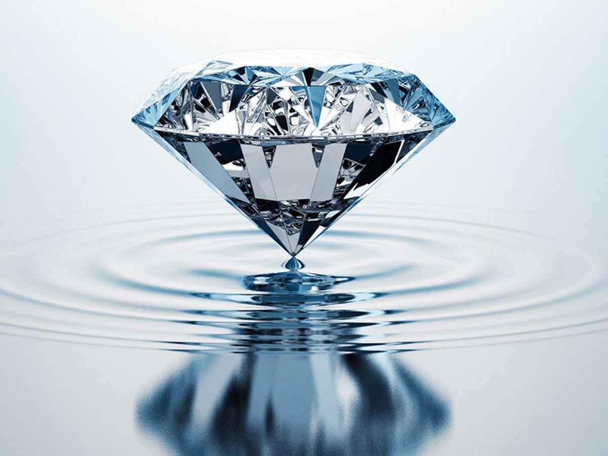 Муравей ограбил ювелирный салон на огромную сумму