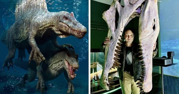 Доисторические монстры: подборка впечатляющих останков вымерших существ