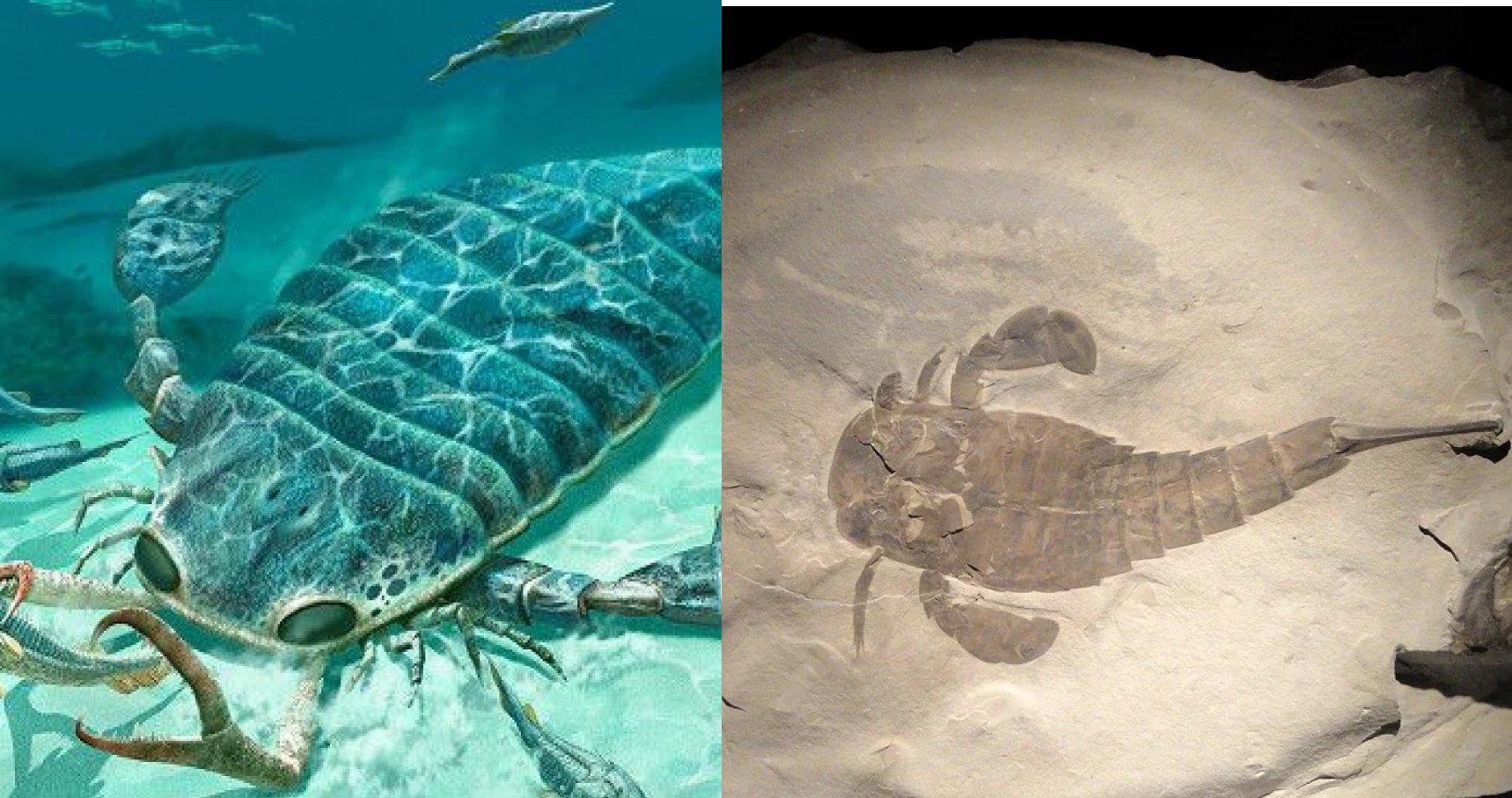 Доисторические монстры: подборка впечатляющих останков вымерших существ