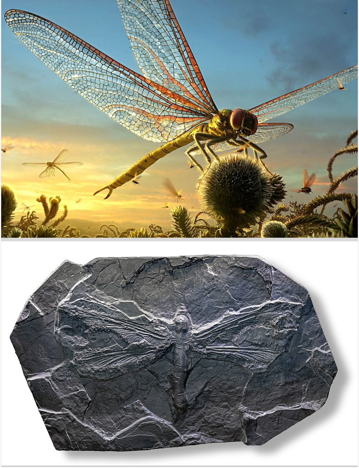 Доисторические монстры: подборка впечатляющих останков вымерших существ