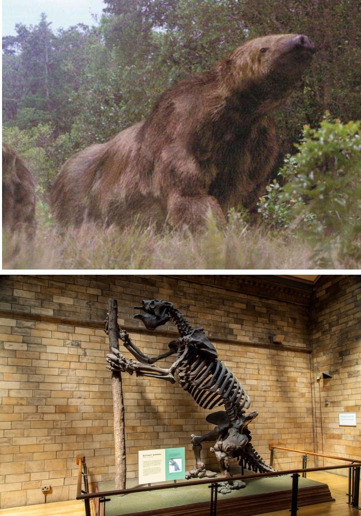 Доисторические монстры: подборка впечатляющих останков вымерших существ