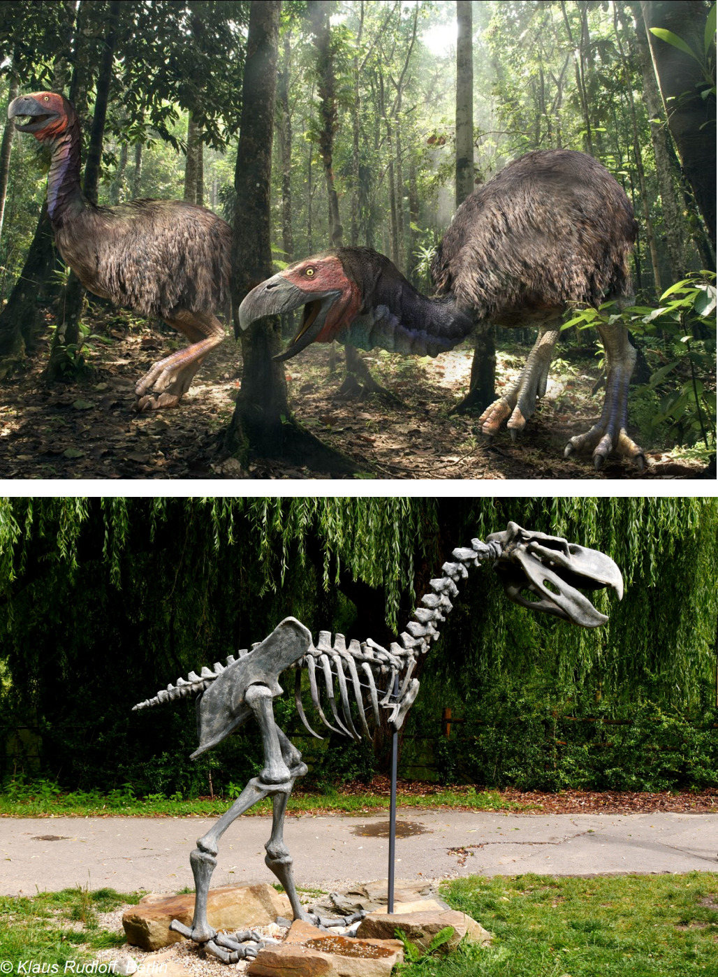 Доисторические монстры: подборка впечатляющих останков вымерших существ