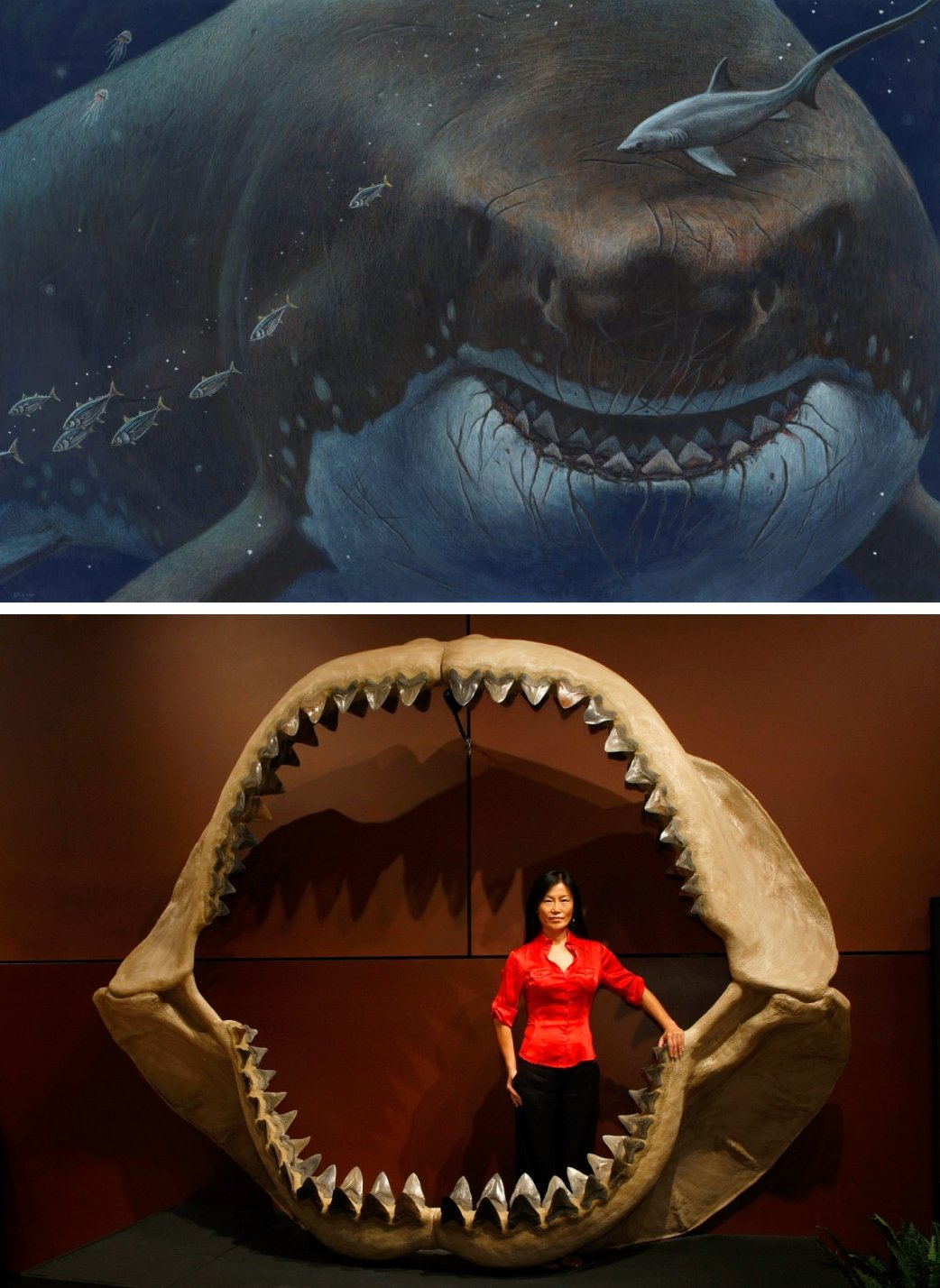 Доисторические монстры: подборка впечатляющих останков вымерших существ