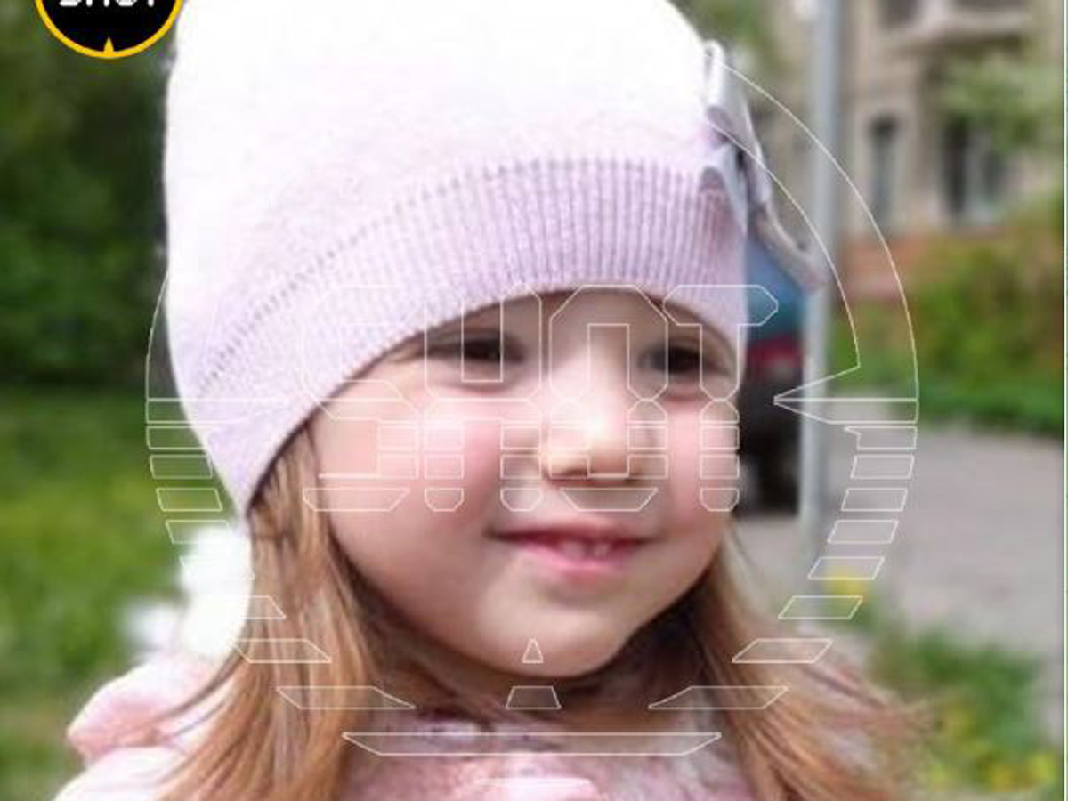 В Подмосковье 3-летняя девочка бесследно пропала после загадочной гибели матери