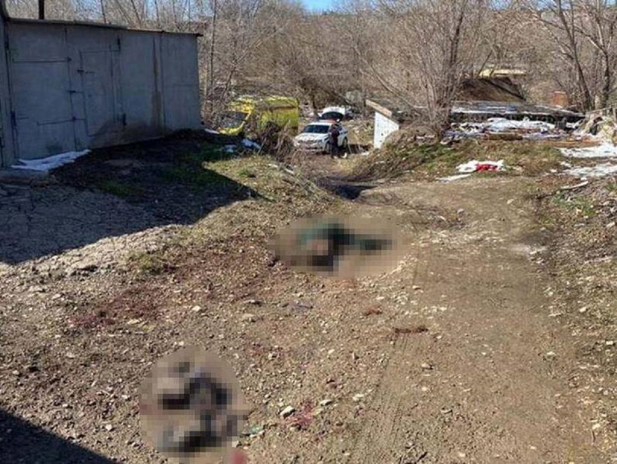 В Оренбурге бродячие собаки загрызли 8-летнего мальчика, побежавшего от них в гаражи