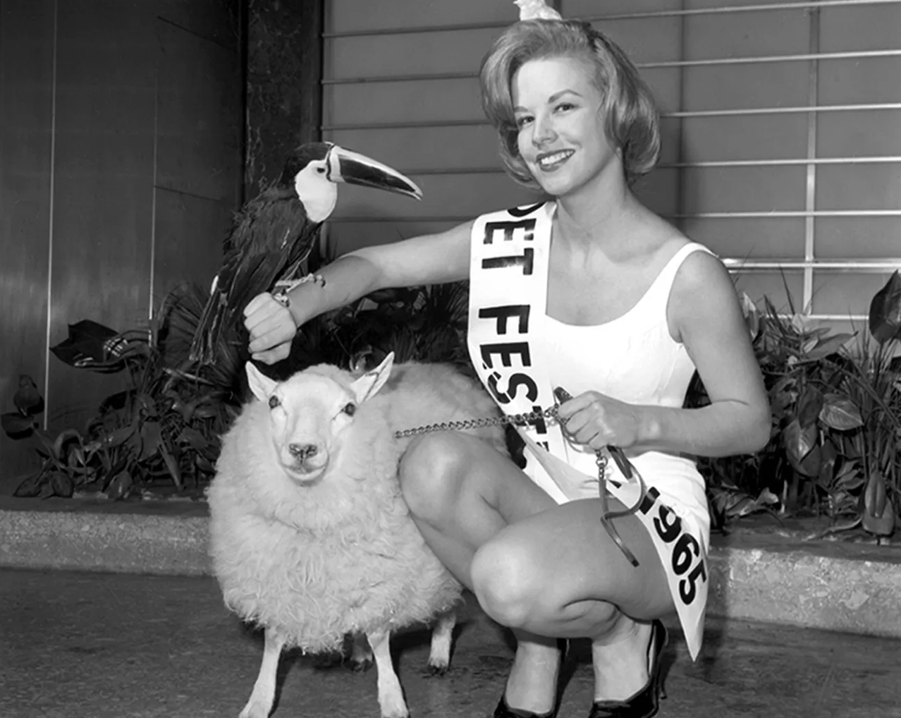 «Мисс-сосиска» и «Мисс-подгузник»: очень странные конкурсы красоты XX века