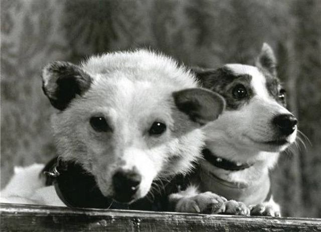 Редкие исторические фото, передающие атмосферу того времени