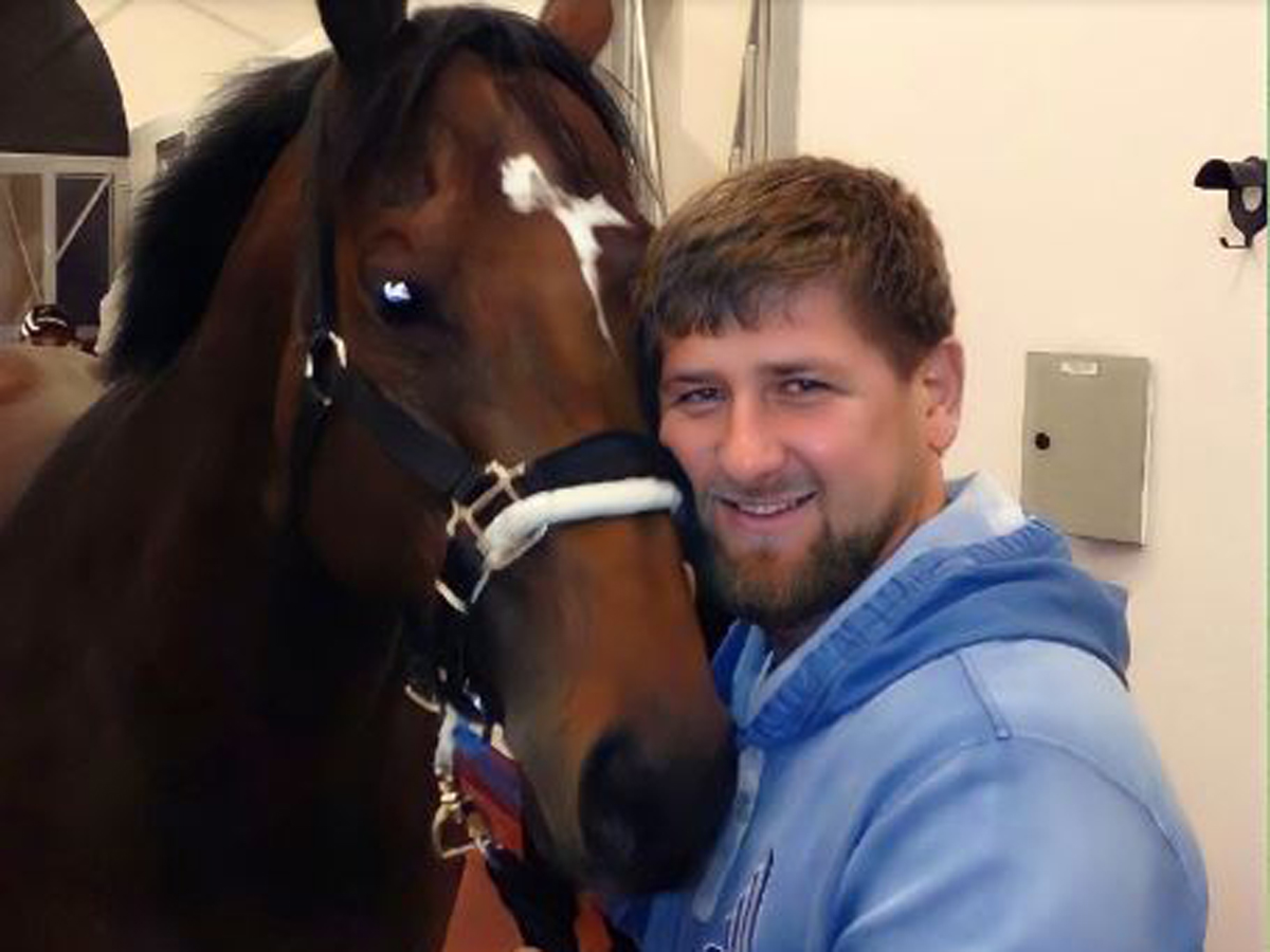 Кадыров раскрыл цену выкупа своего «украденного» в Чехию коня