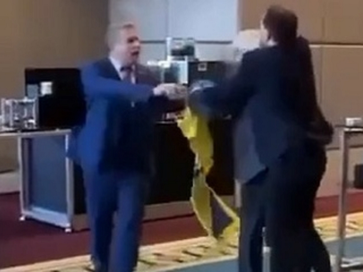 Драка членов российской и украинской делегации на саммите ПАЧЭС из-за флага попала на видео