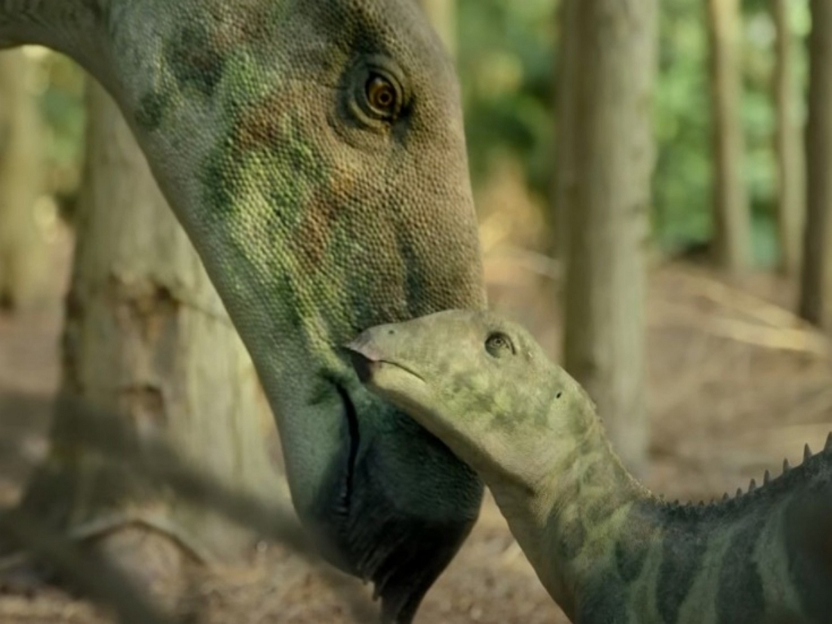 Вышел трейлер второго сезона «Доисторической планеты» о жизни динозавров