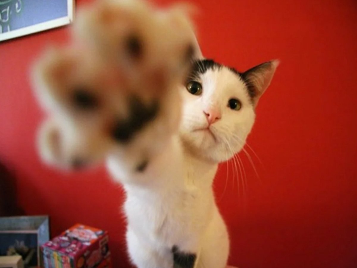 Не ложитесь спать в свободной пижаме