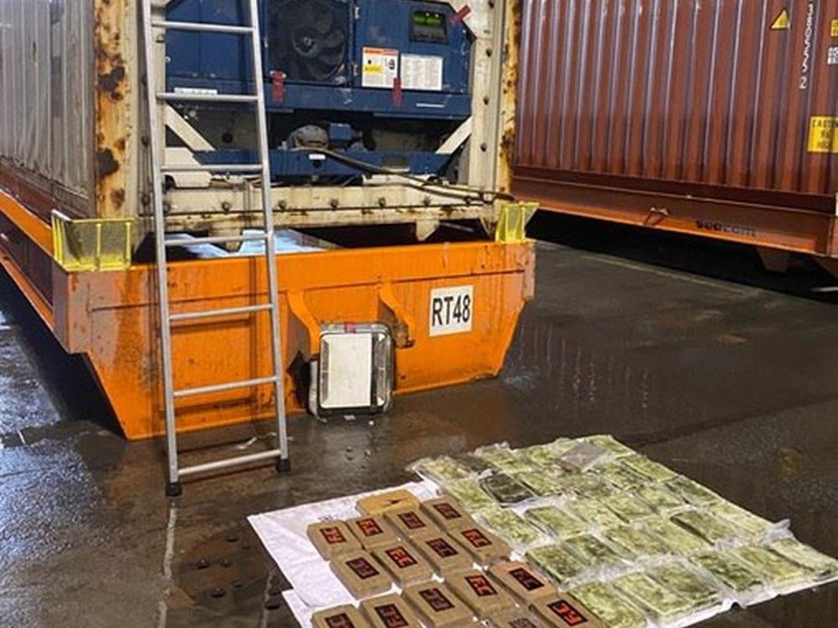 Петербургские таможенники нашли 50 кг кокаина в партии африканских бананов