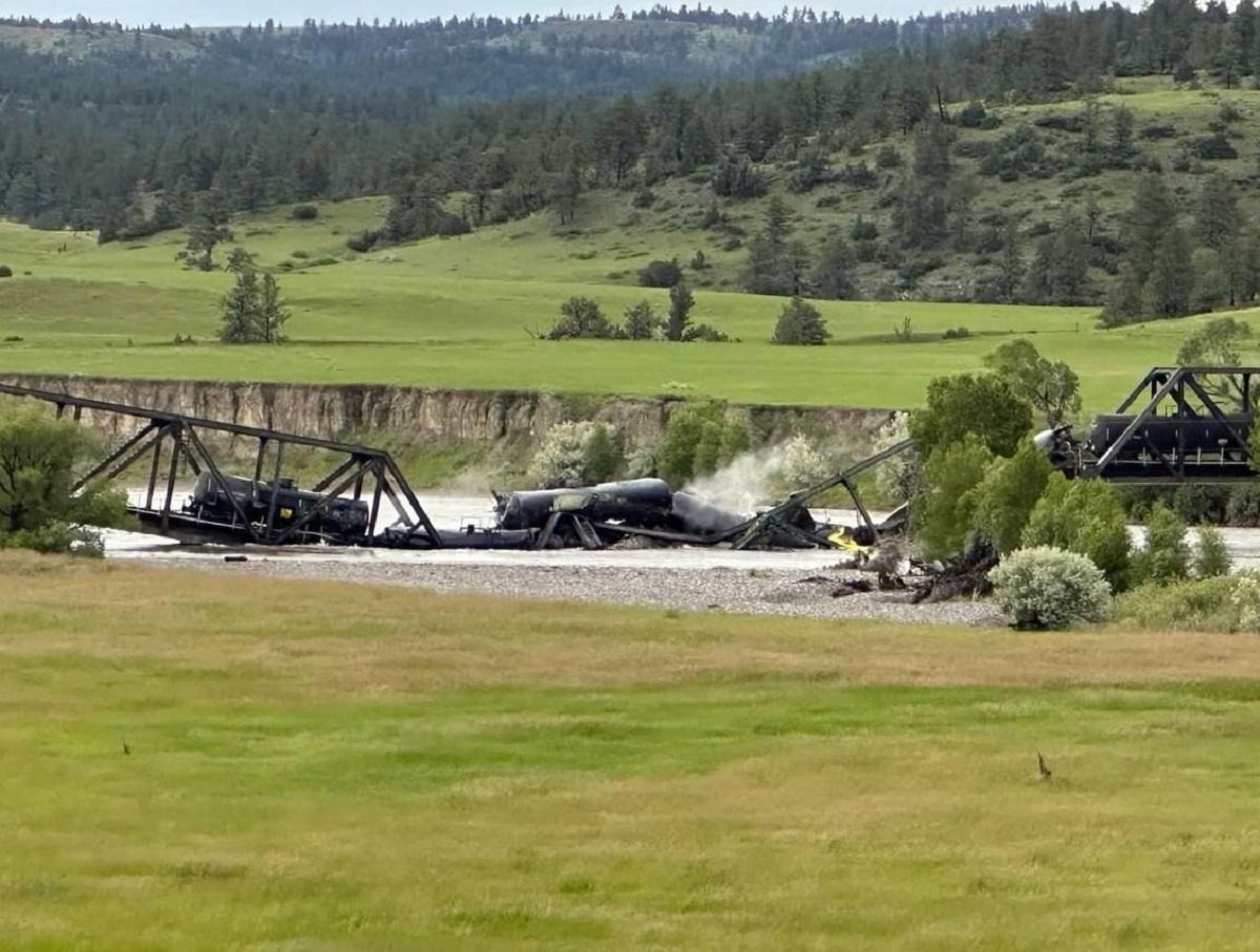 В США мост с поездом обрушились в реку: опасные веществ попали в воду