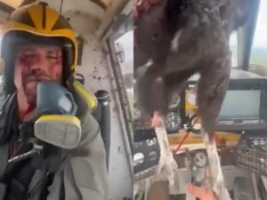 Пилот в Эквадоре посадил самолет с мертвой птицей в лобовом стекле