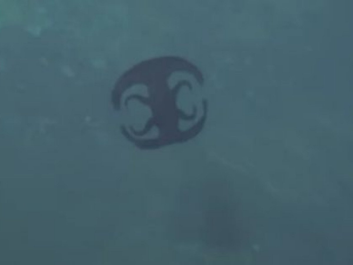 Подводный «инопланетянин», похожий на логотип, заинтриговал пользователей