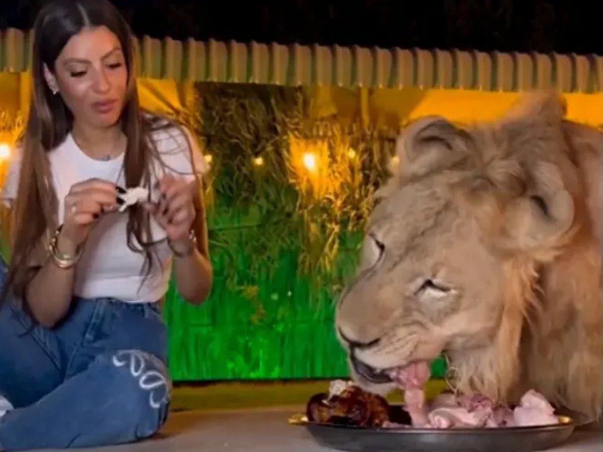 Женщина съела мясо из тарелки льва