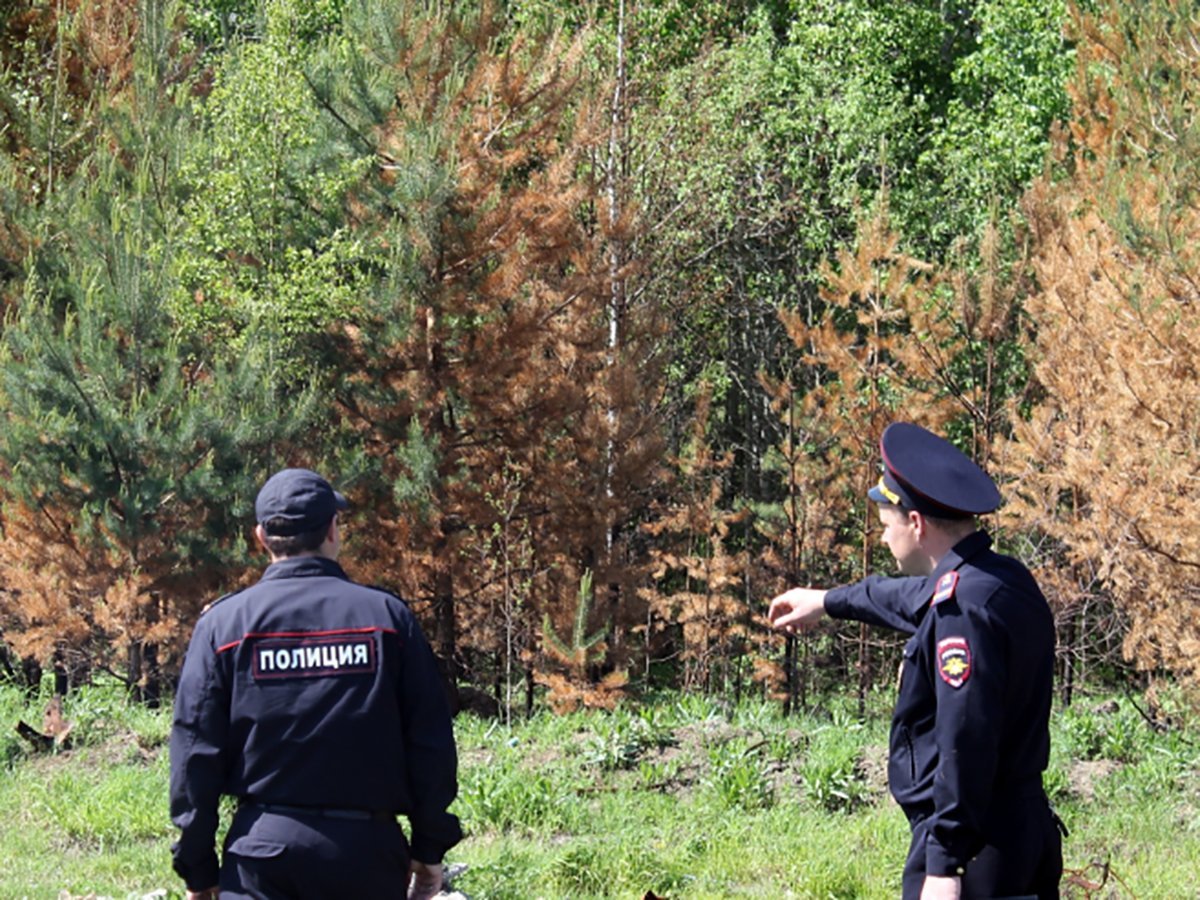 Изнасиловали и сожгли школьницу