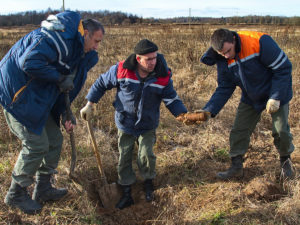 В двух регионах России найдены брошенные неизвестными боевые гранаты