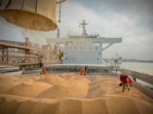 Египет набросился с критикой на Россию после выхода из «зерновой сделки»