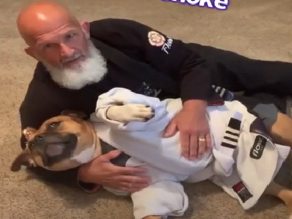 Собака в кимоно — прекрасный партнер по джиу-джитсу