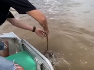 Рыбаки поймали неожиданный улов