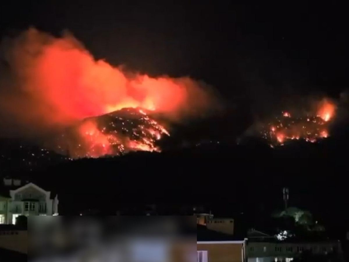 В Геленджике два дня тушат мощный пожар: сгорело 118 гектаров леса