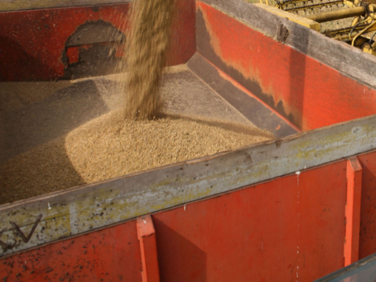 Россия объявила пять условий для возобновления зерновой сделки